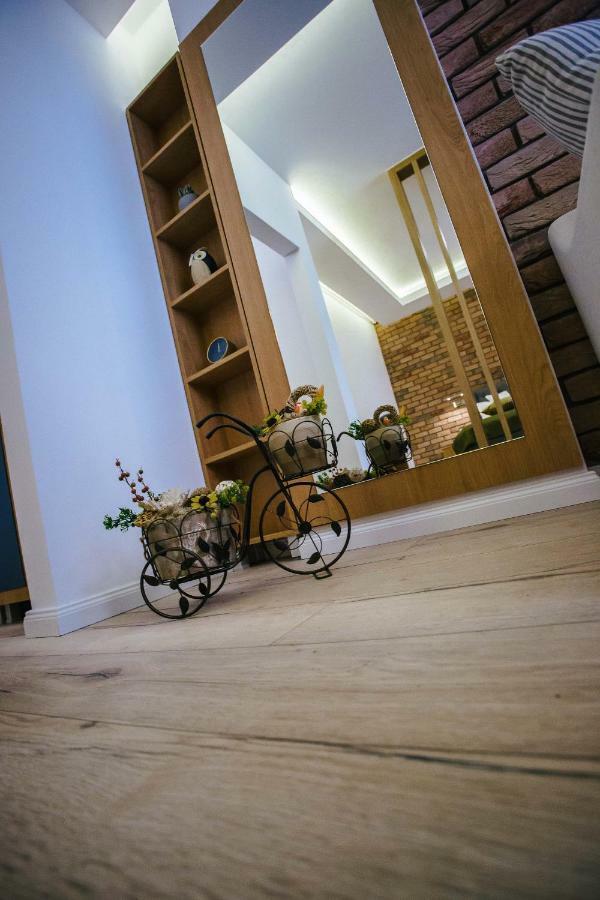 Briana Luxury Studio Cluj-Napoca Eksteriør bilde